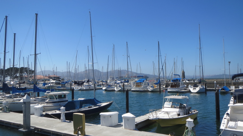 Blick über die Marina - im Hintergrund zwischen den Masten versteckt die Golden Gate Bridge und ein großes Containerschiff